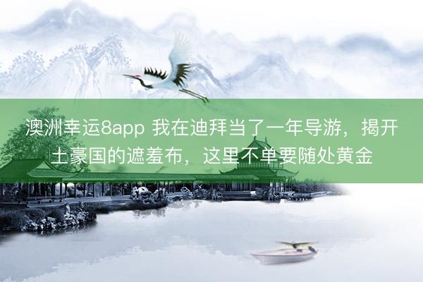 澳洲幸运8app 我在迪拜当了一年导游，揭开土豪国的遮羞布，这里不单要随处黄金