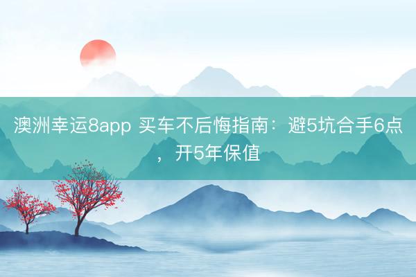澳洲幸运8app 买车不后悔指南：避5坑合手6点，开5年保值