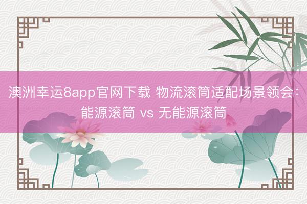 澳洲幸运8app官网下载 物流滚筒适配场景领会：能源滚筒 vs 无能源滚筒