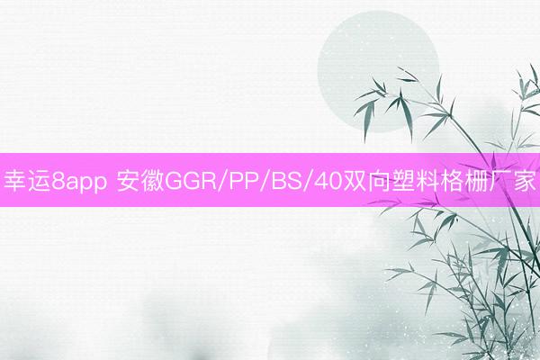 幸运8app 安徽GGR/PP/BS/40双向塑料格栅厂家