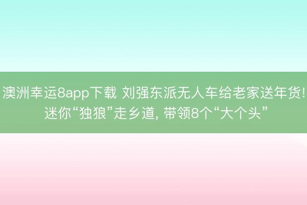 澳洲幸运8app下载 刘强东派无人车给老家送年货! 迷你“独狼”走乡道， 带领8个“大个头”