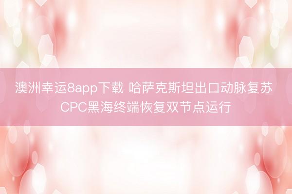 澳洲幸运8app下载 哈萨克斯坦出口动脉复苏 CPC黑海终端恢复双节点运行