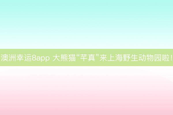 澳洲幸运8app 大熊猫“芊真”来上海野生动物园啦!