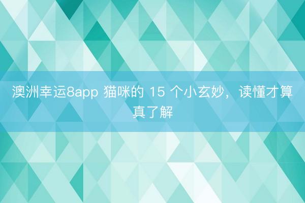 澳洲幸运8app 猫咪的 15 个小玄妙,读懂才算真了解