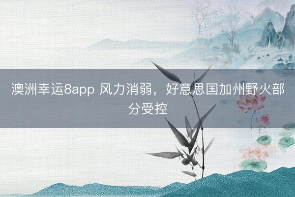 澳洲幸运8app 风力消弱,好意思国加州野火部分受控