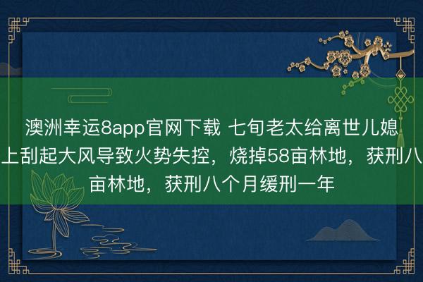 澳洲幸运8app官网下载 七旬老太给离世儿媳上坟烧纸,山上刮起大风导致火势失控,烧掉58亩林地,获刑八个月缓刑一年