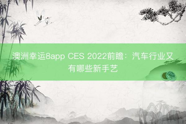 澳洲幸运8app CES 2022前瞻：汽车行业又有哪些新手艺