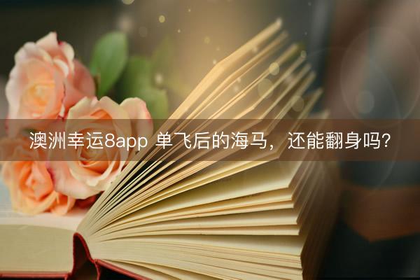 澳洲幸运8app 单飞后的海马,还能翻身吗?