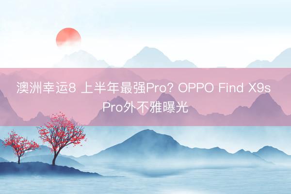 澳洲幸运8 上半年最强Pro? OPPO Find X9s Pro外不雅曝光