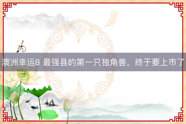 澳洲幸运8 最强县的第一只独角兽,终于要上市了