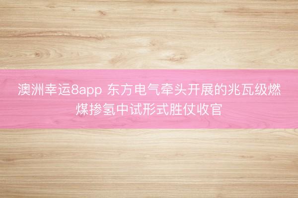 澳洲幸运8app 东方电气牵头开展的兆瓦级燃煤掺氢中试形式胜仗收官