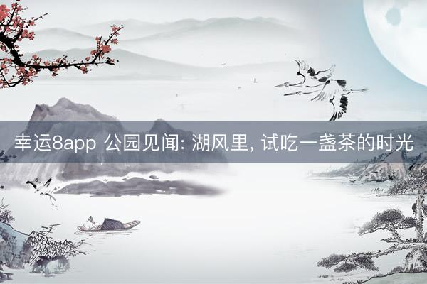 幸运8app 公园见闻: 湖风里， 试吃一盏茶的时光