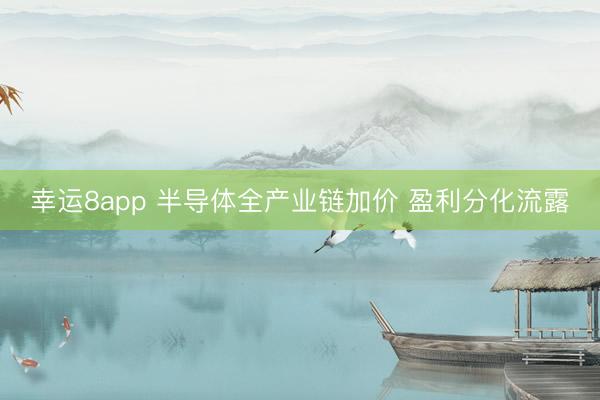 幸运8app 半导体全产业链加价 盈利分化流露